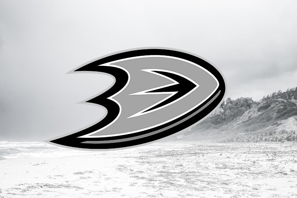 Troy Terry Extends for 7 years in Anaheim