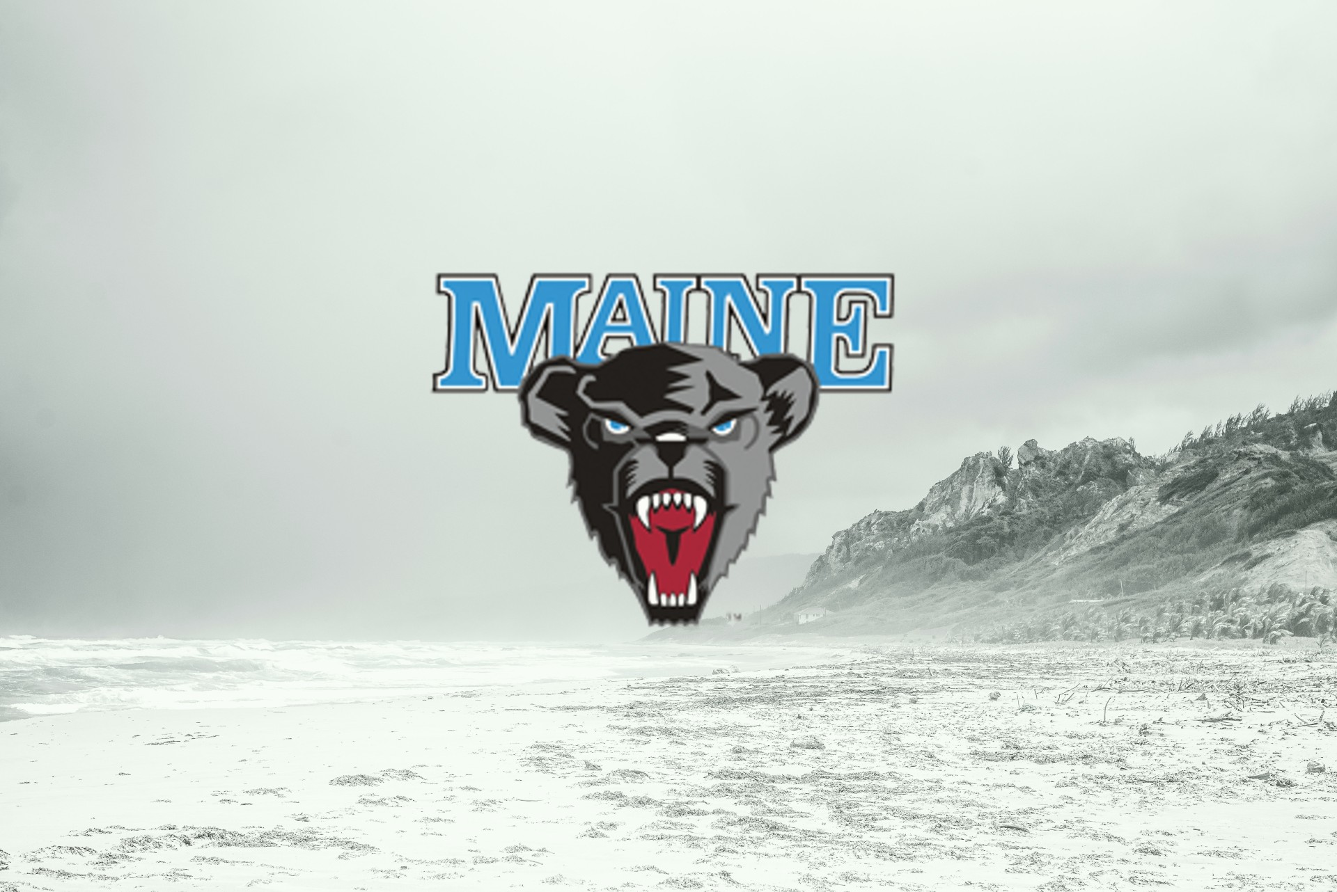 University of Maine Black Bears: All in on Bradly