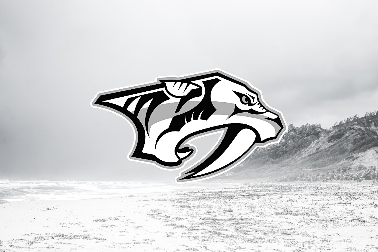 Nashville Predators: Ascending the Division of Doom