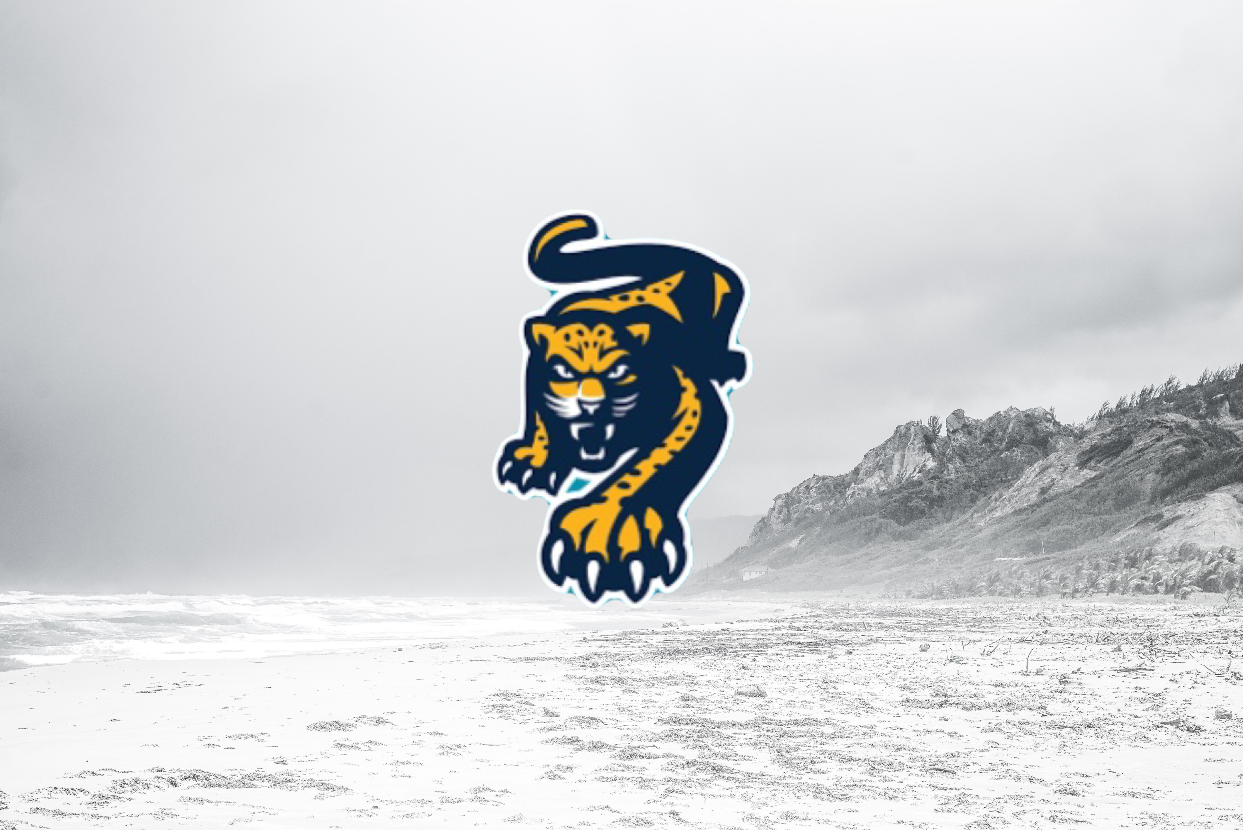 KHL News: Matvei Michkov to be loaned out to HC Sochi for second straight season