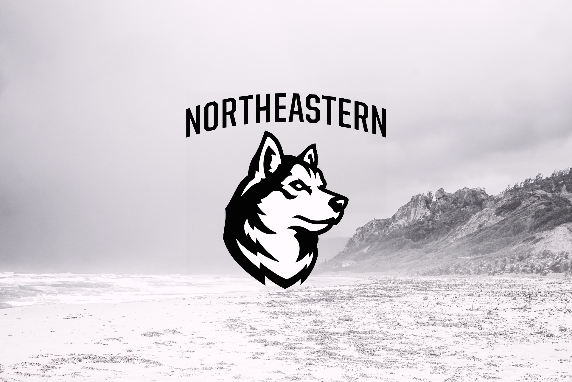 Northeastern Huskies: Searching for Answers, Devon Levi Leaves the Battlefield