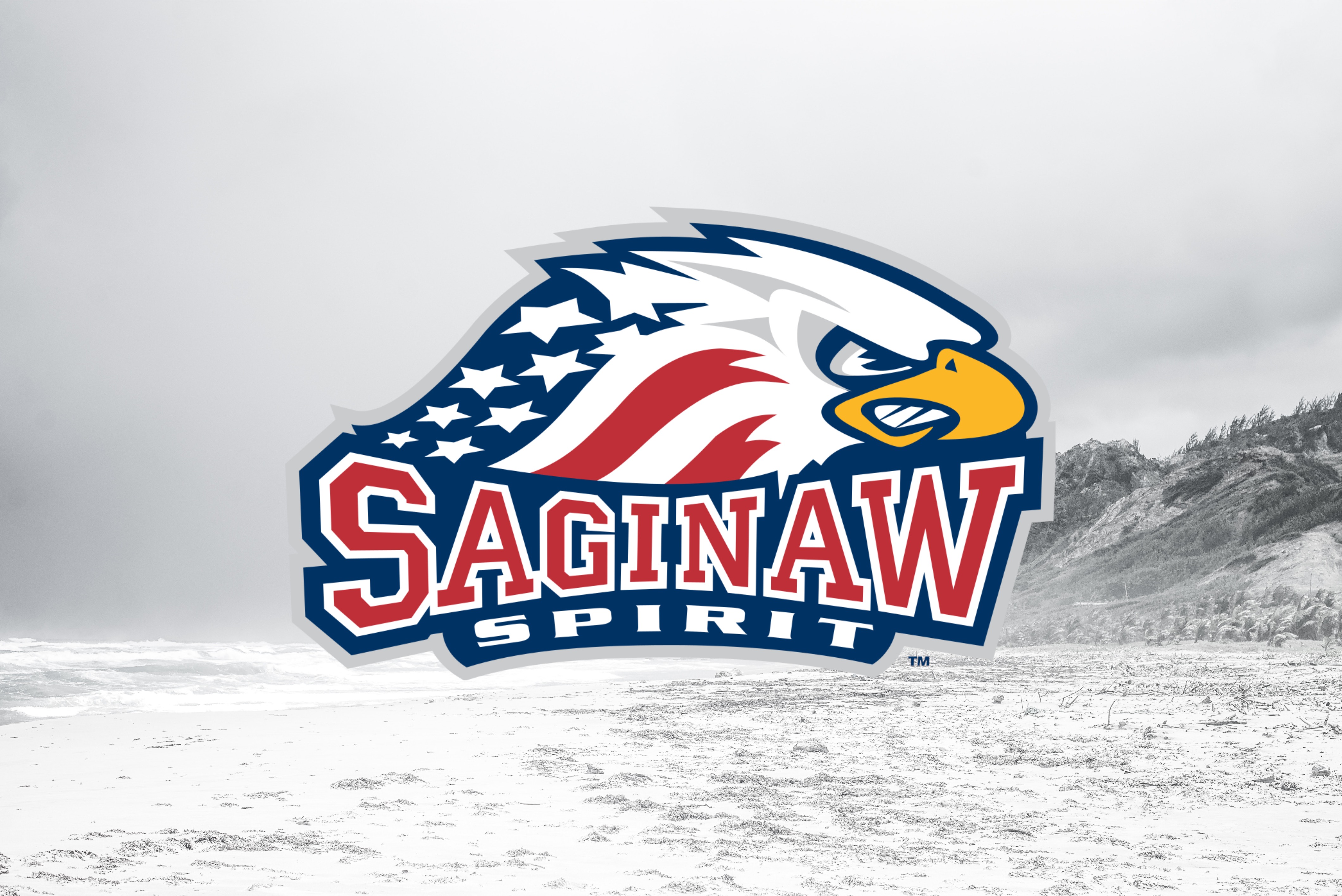 Prospects to Know: Who is… Michael Misa?