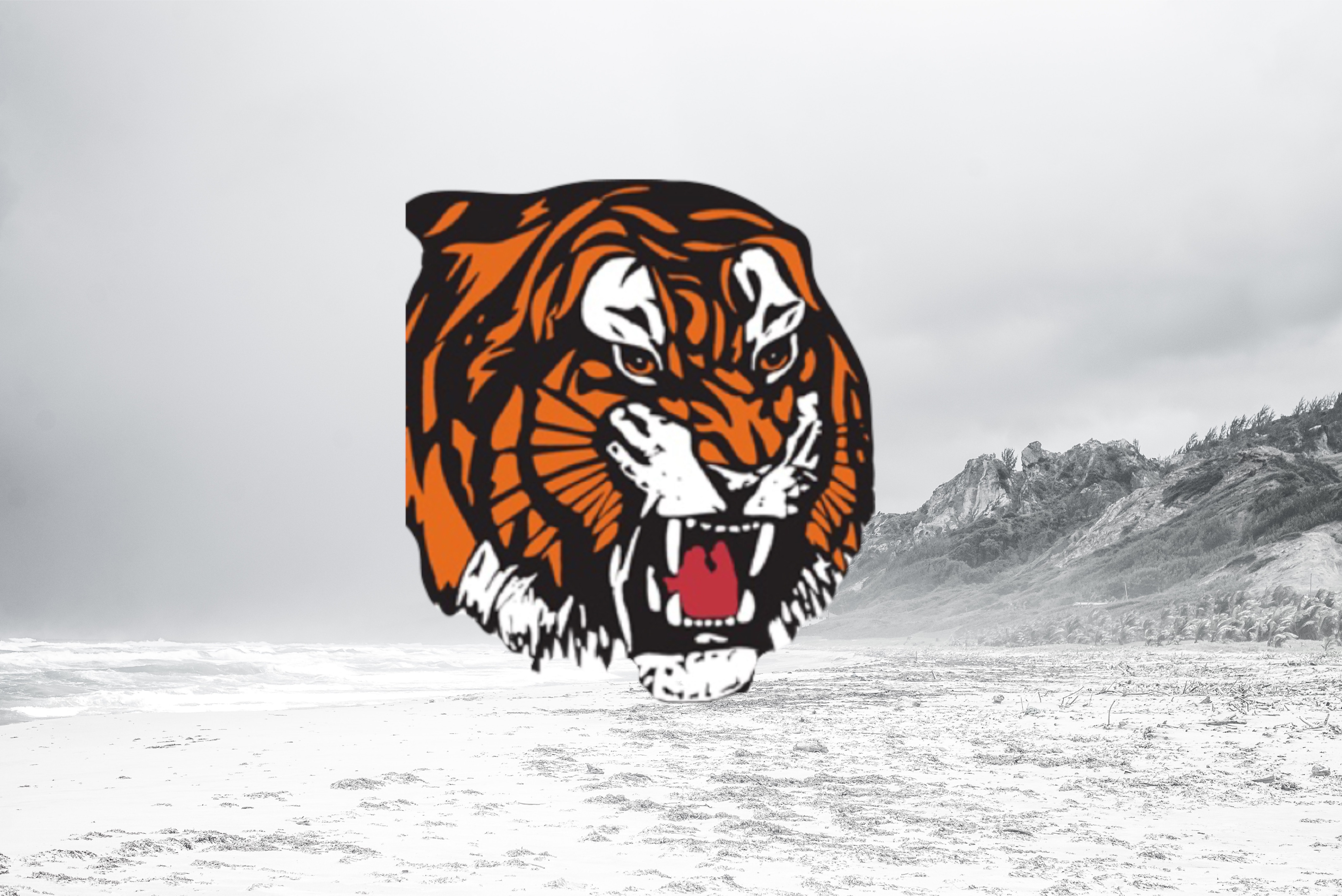 The unbeatable Albertans: When Medicine Hat captured all the glory in consecutive seasons