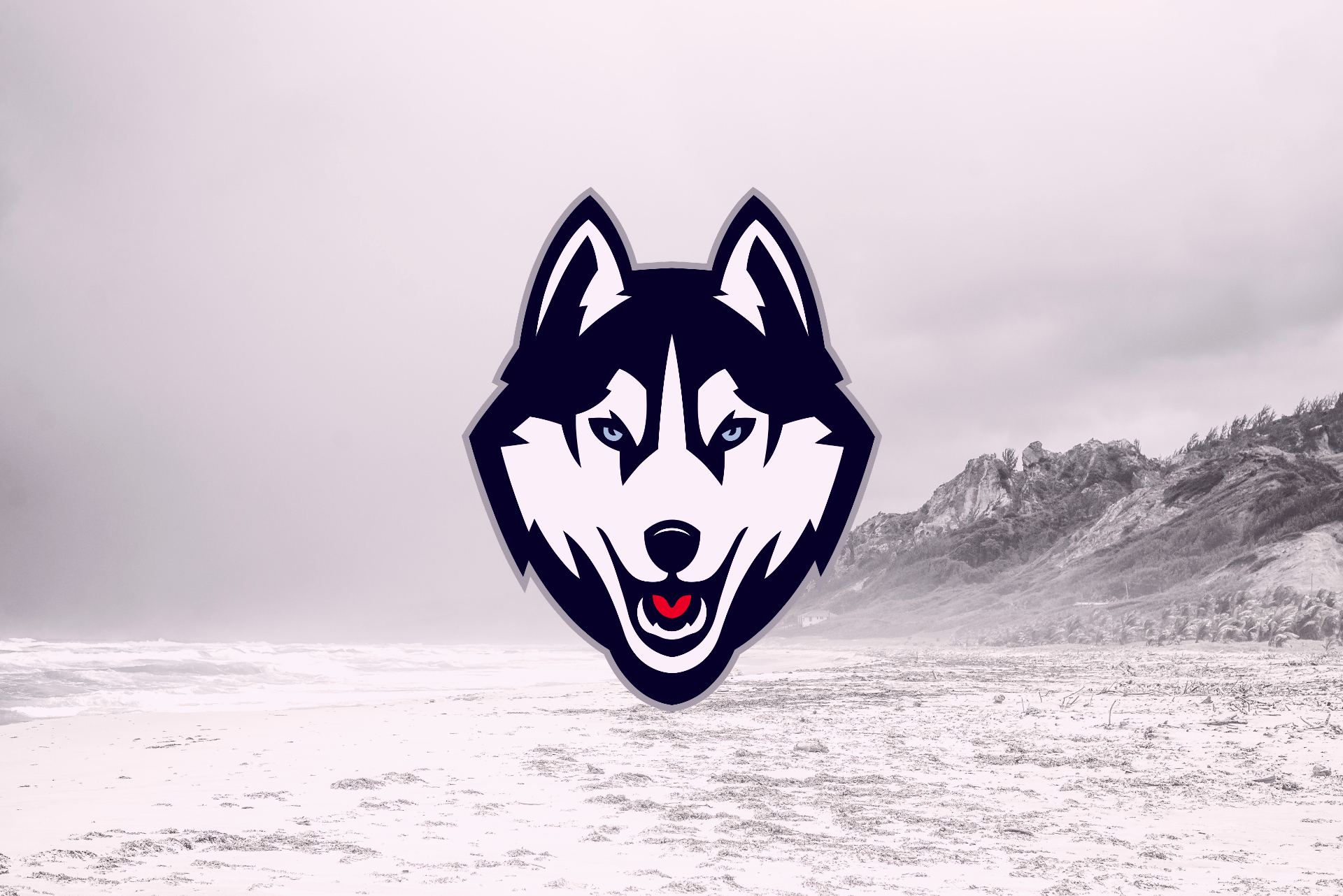 UConn Huskies: Between Disappointment and Destiny