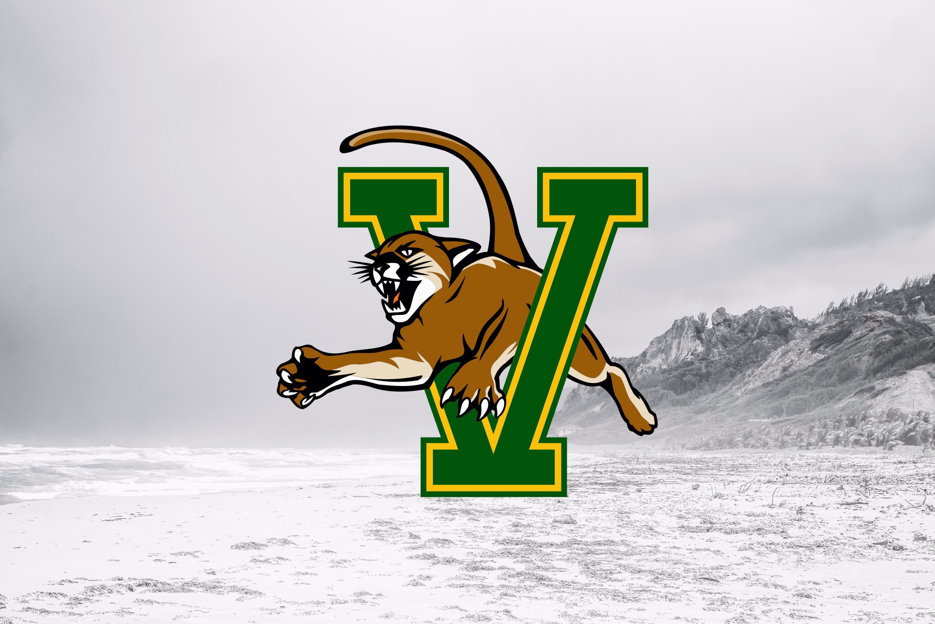 University of Vermont Catamounts: Without Expectations, There Can Be No Disappointment