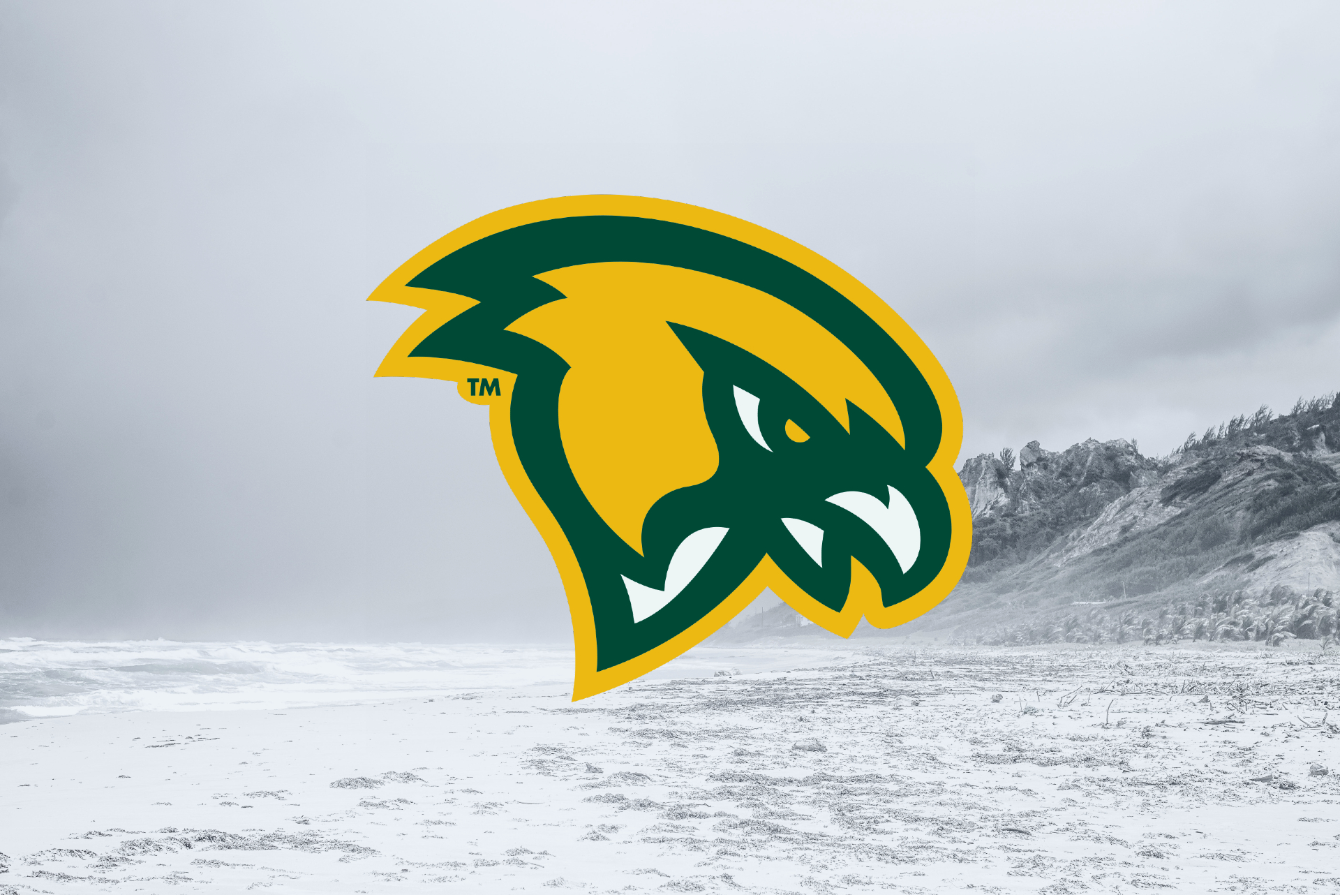 Fitchburg State: To Usurp the Throne?