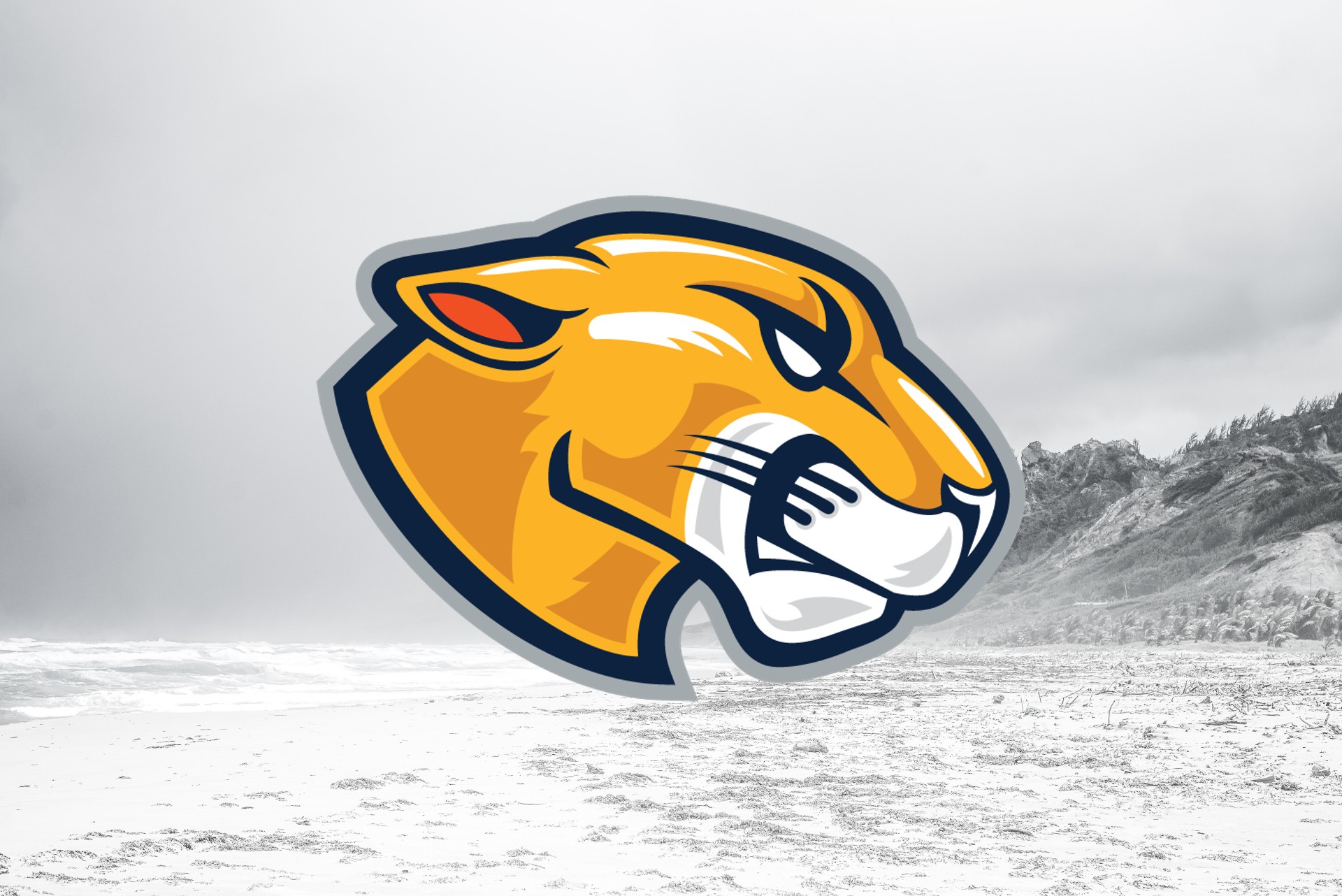 MCLA Trailblazers: Hockey Returns to North Adams