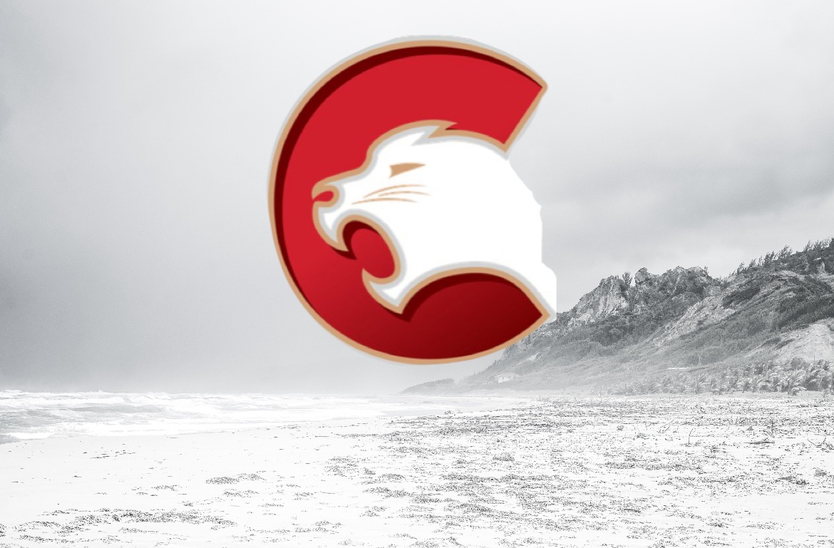 Prospects to Know: Who is… Terik Parascak?