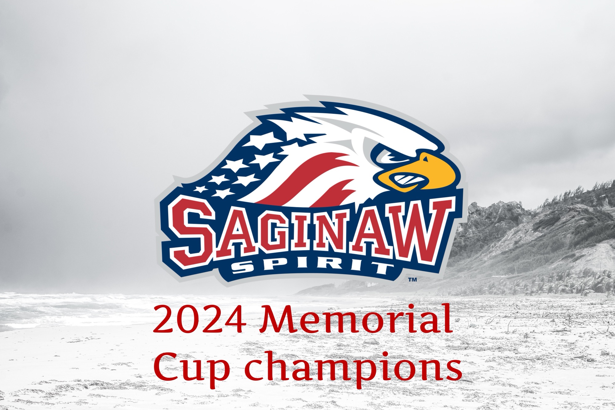 Spirited: A strong squad that were often overlooked make their mark on the most coveted junior hockey trophy at home
