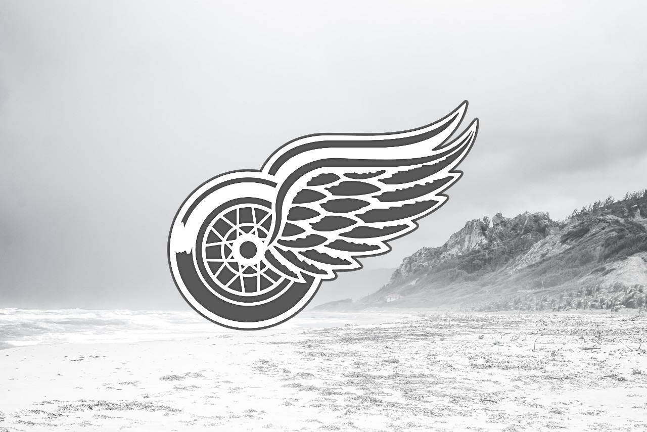 Detroit Red Wings: No, come on, what?!