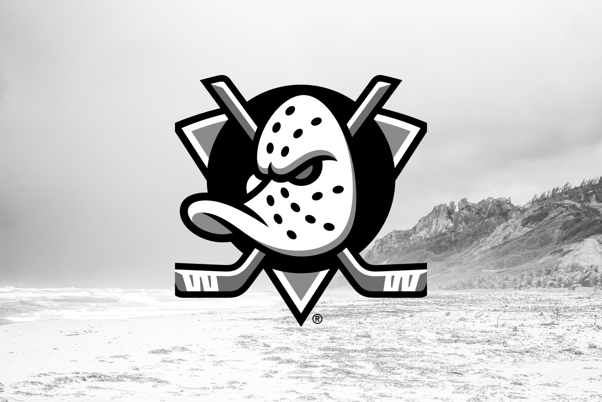 Anaheim Ducks Acquire Ville Husso