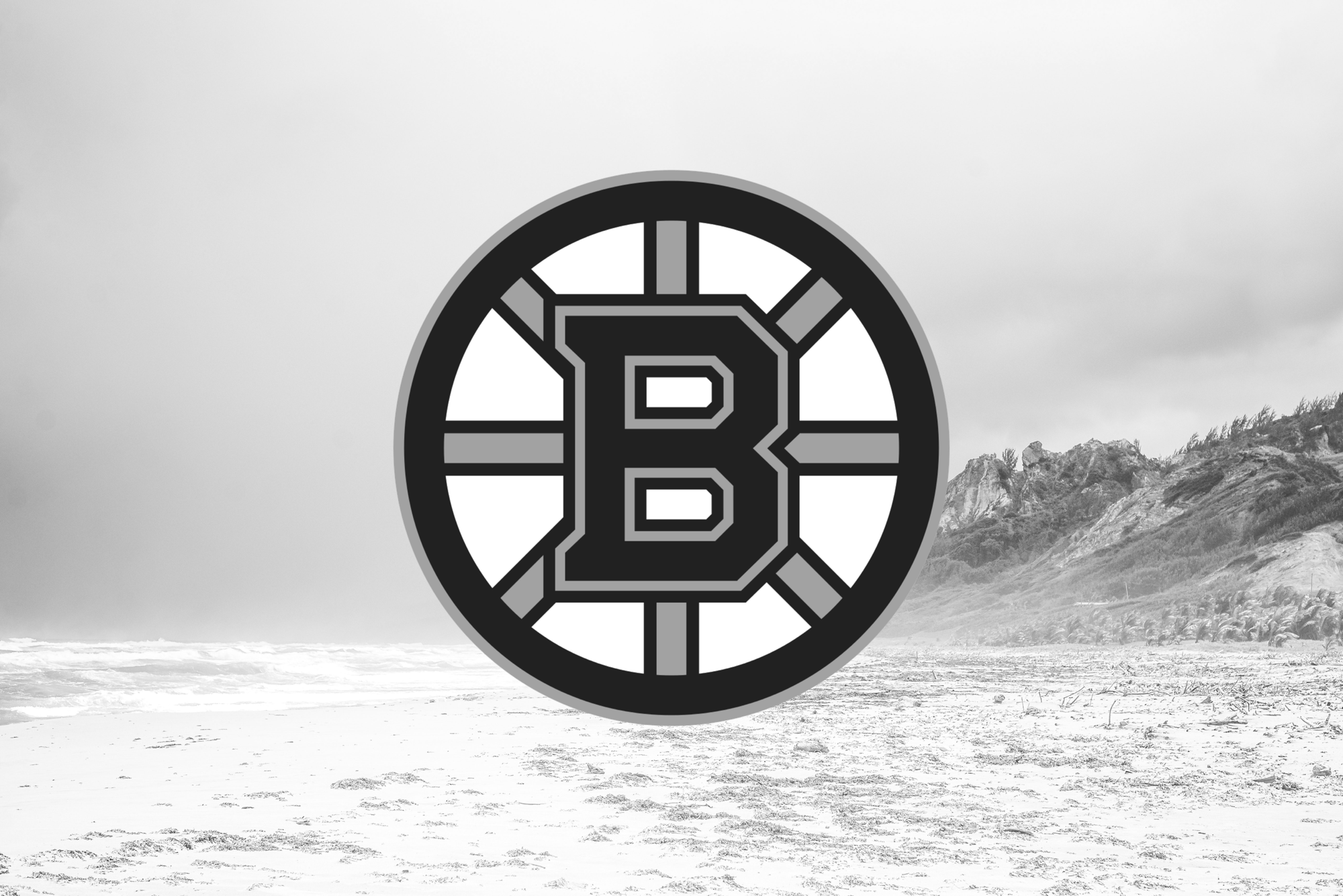 Boston Bruins: Sweeney, Neely, and the brain trust attempt to move the needle