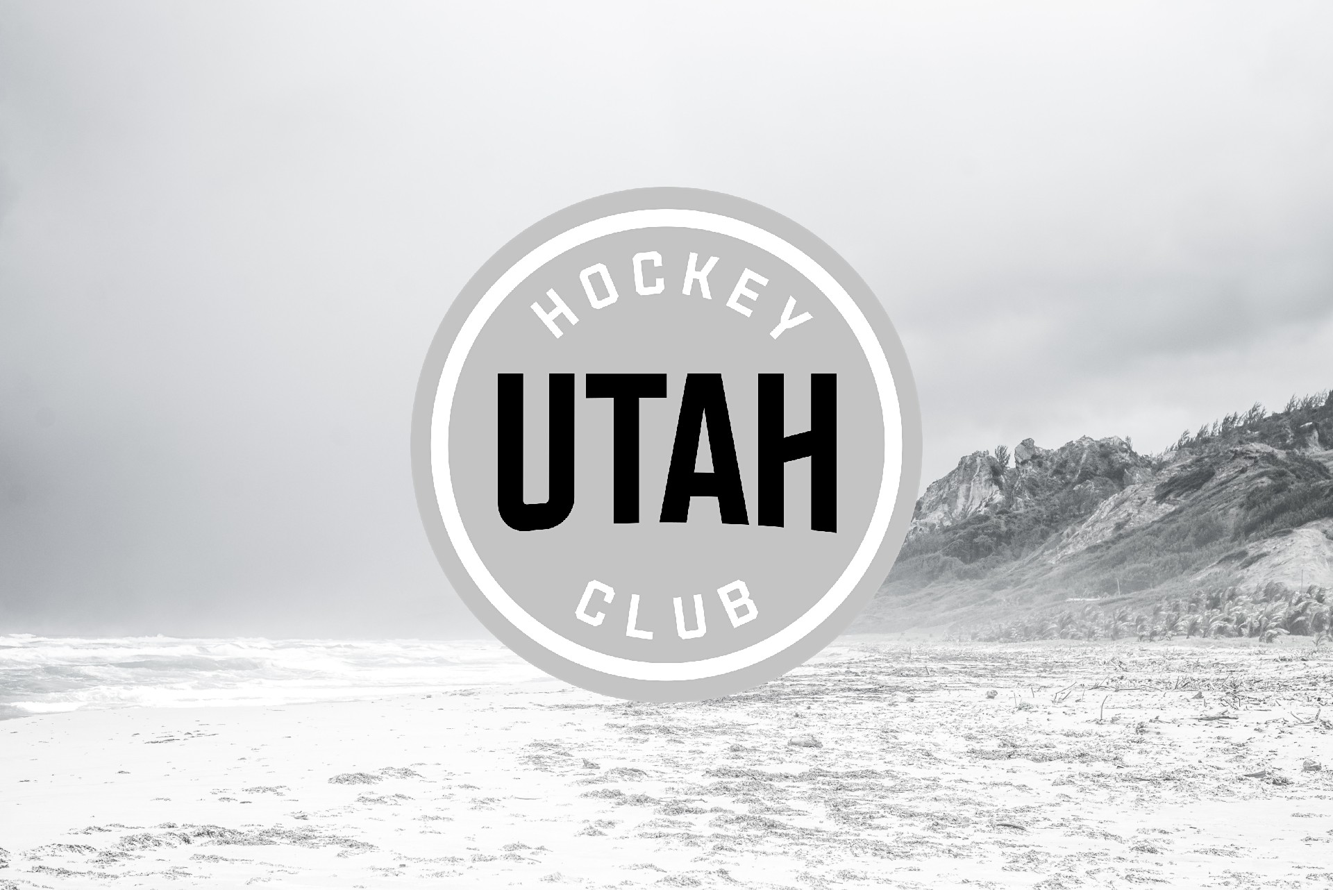 Utah Hockey Club: A New Beginning
