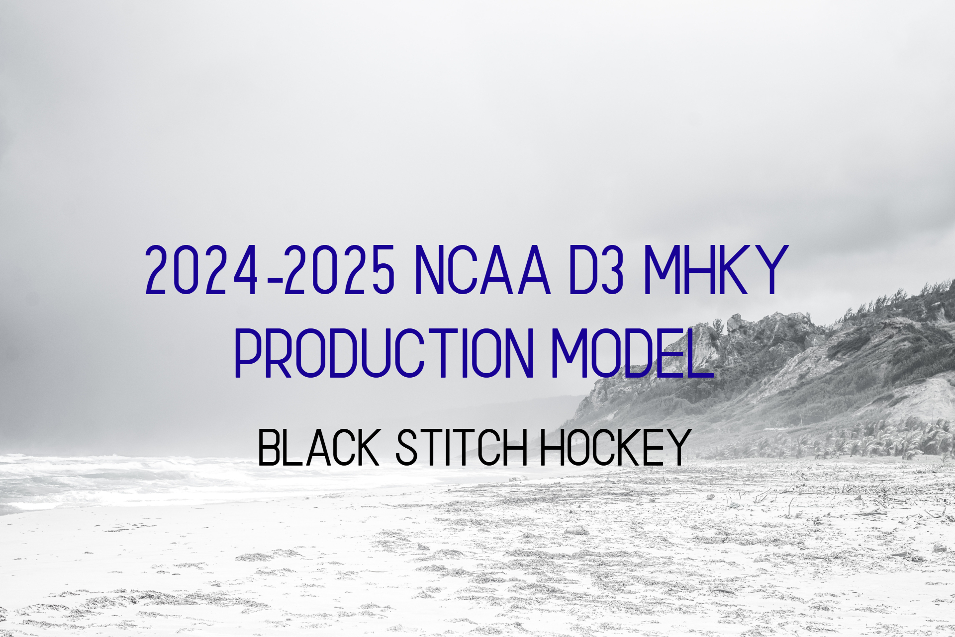 2024-2025 NCAA D3 MHKY Skater Model