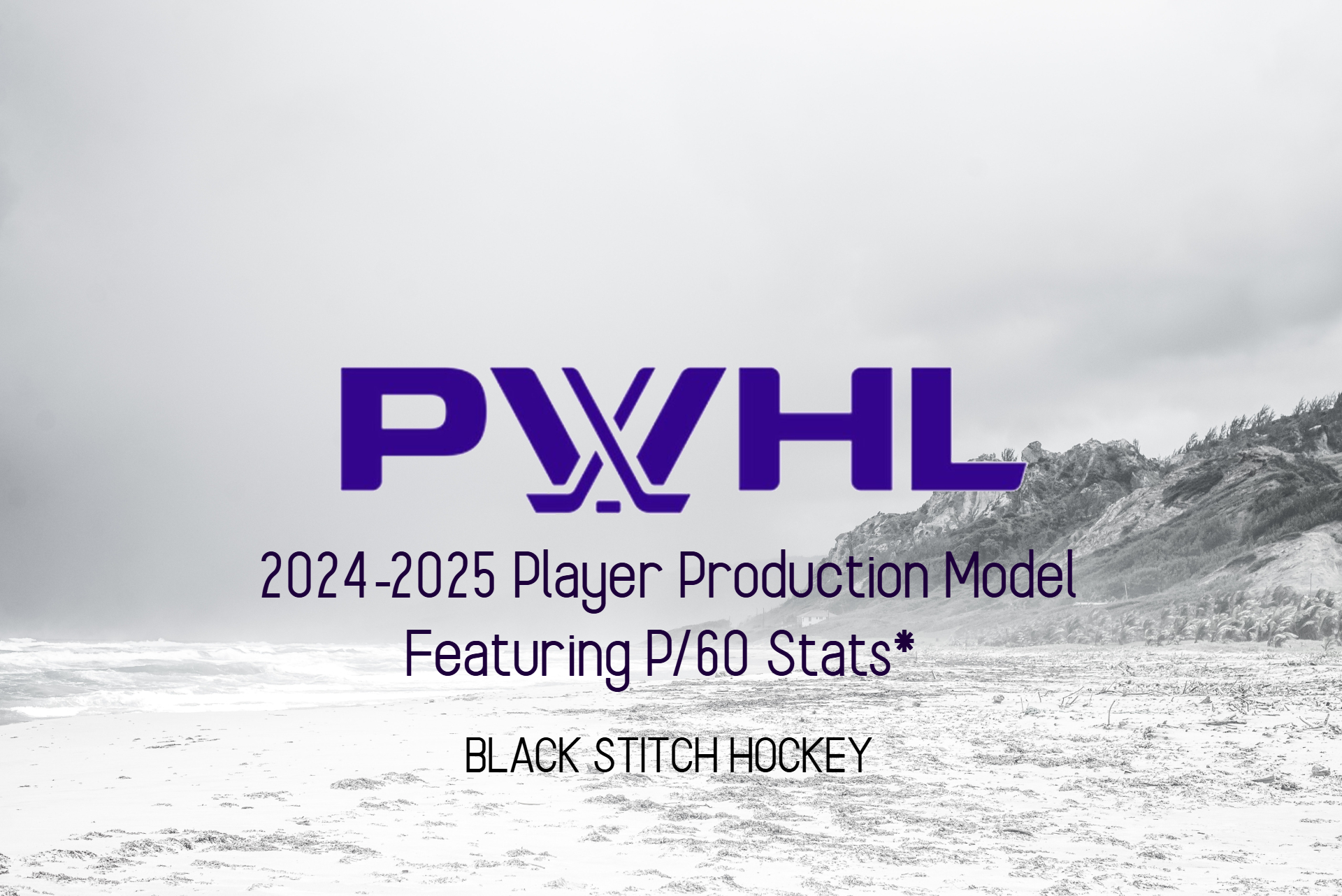 Black Stitch Hockey PWHL Production Model 2024-2025
