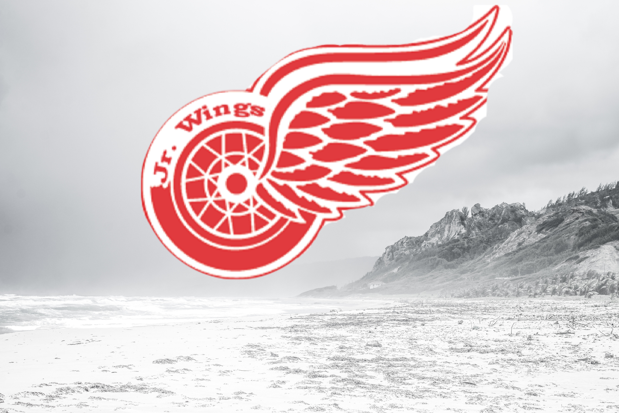 Dominant despair: The successful, yet brief and drama-filled history of the Detroit Junior Red Wings
