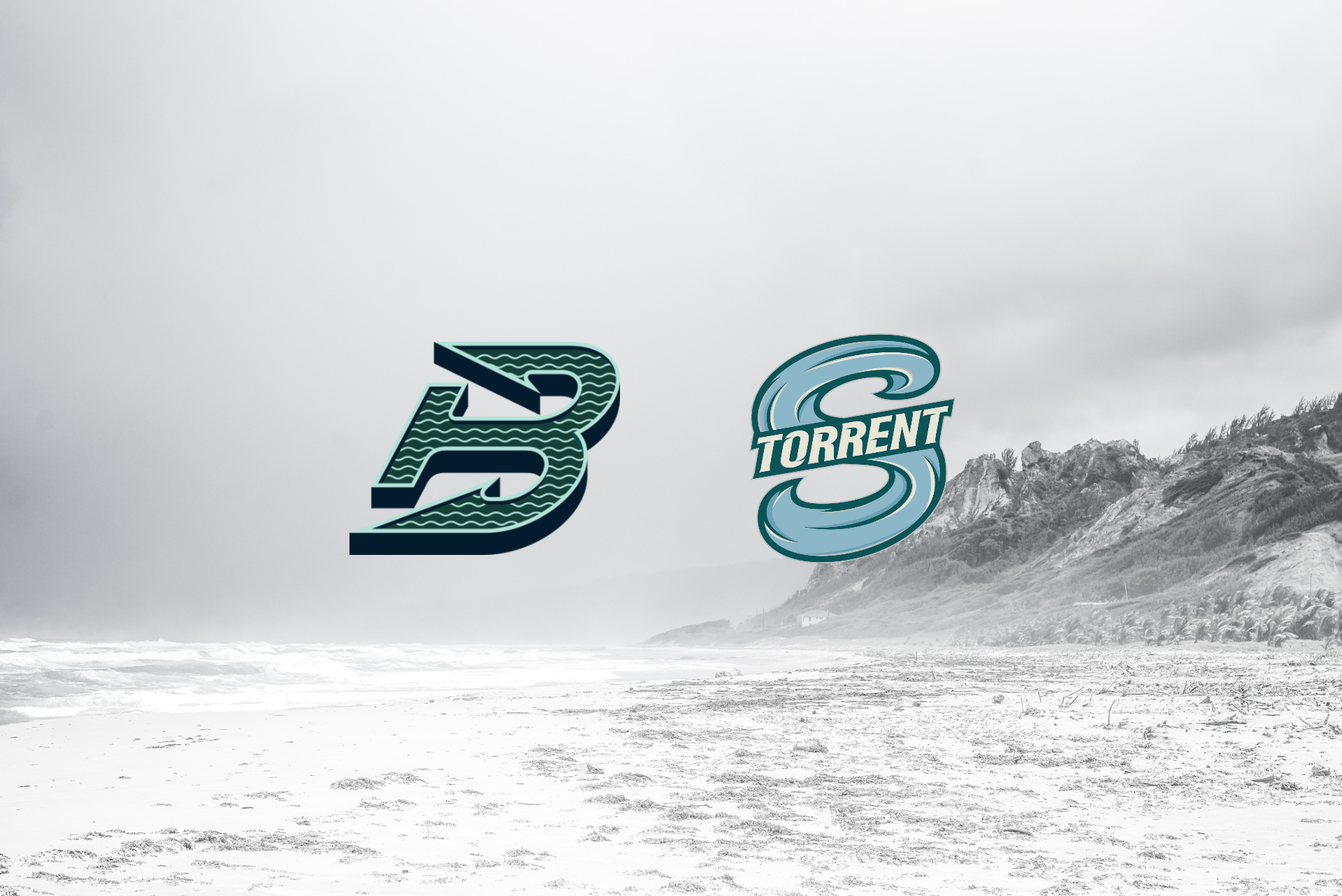 Boston Fleet Trade Teresa Schafzahl to Seattle for Jessie Eldridge